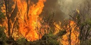 مهار آتش‌سوزی در ارتفاعات جنوب شرق مشهد