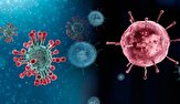 تولید شبه ویروس آنفلوآنزای طیور برای اولین بار در انستیتو پاستور ایران