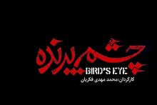 مستند چشم پرنده