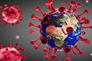 ویروس «پیرولا» در یک قدمی شیوع گسترده